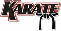 Karate Belt Image
